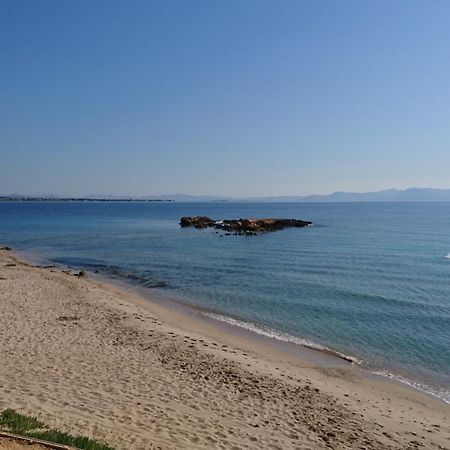 Summerhouse Peggy: Close To Athens Airport By The Sea أرتيميدا المظهر الخارجي الصورة