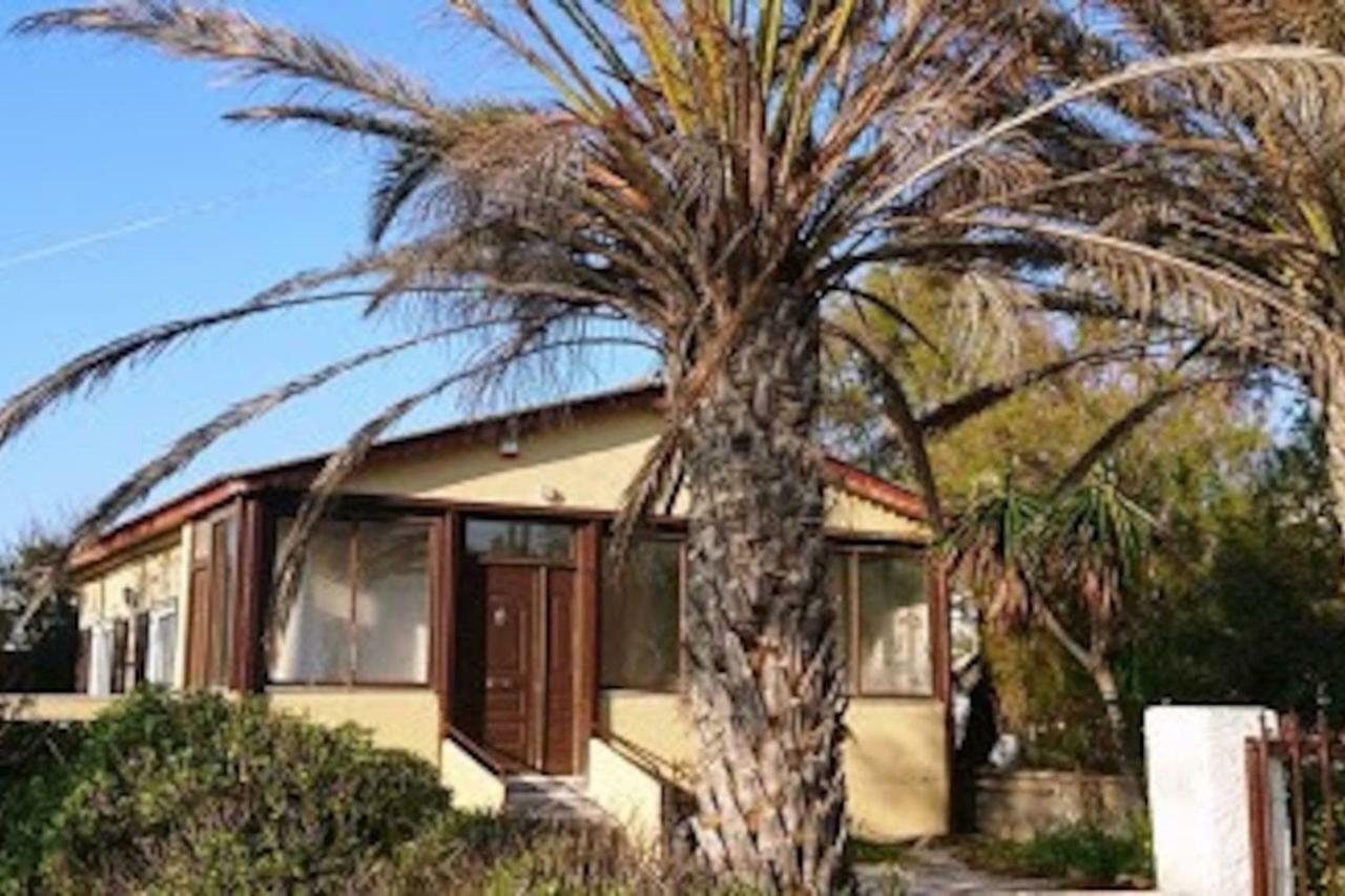 Summerhouse Peggy: Close To Athens Airport By The Sea أرتيميدا المظهر الخارجي الصورة