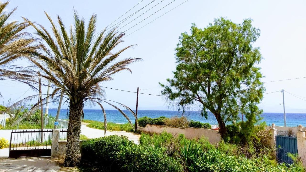 Summerhouse Peggy: Close To Athens Airport By The Sea أرتيميدا المظهر الخارجي الصورة