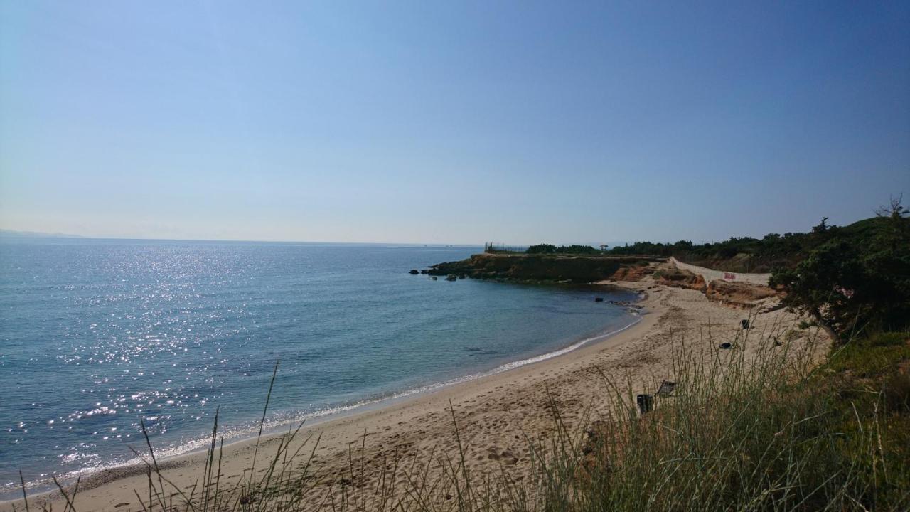 Summerhouse Peggy: Close To Athens Airport By The Sea أرتيميدا المظهر الخارجي الصورة