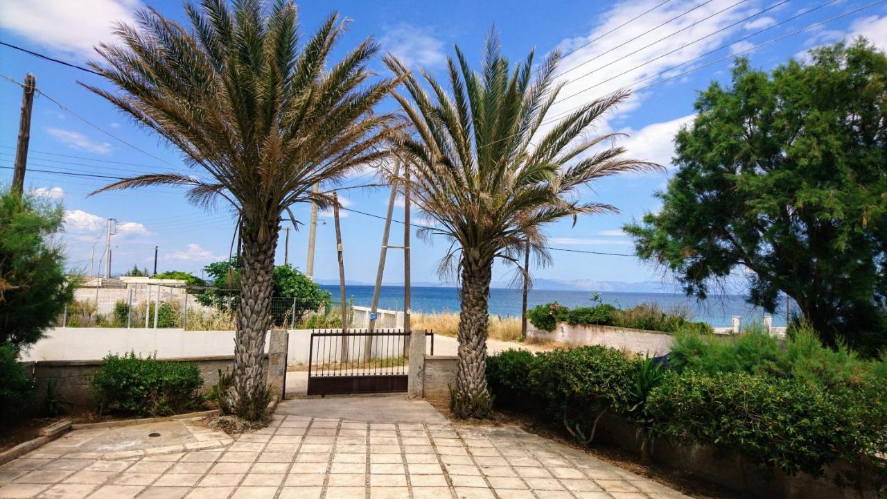 Summerhouse Peggy: Close To Athens Airport By The Sea أرتيميدا المظهر الخارجي الصورة
